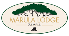 Marula Lodge